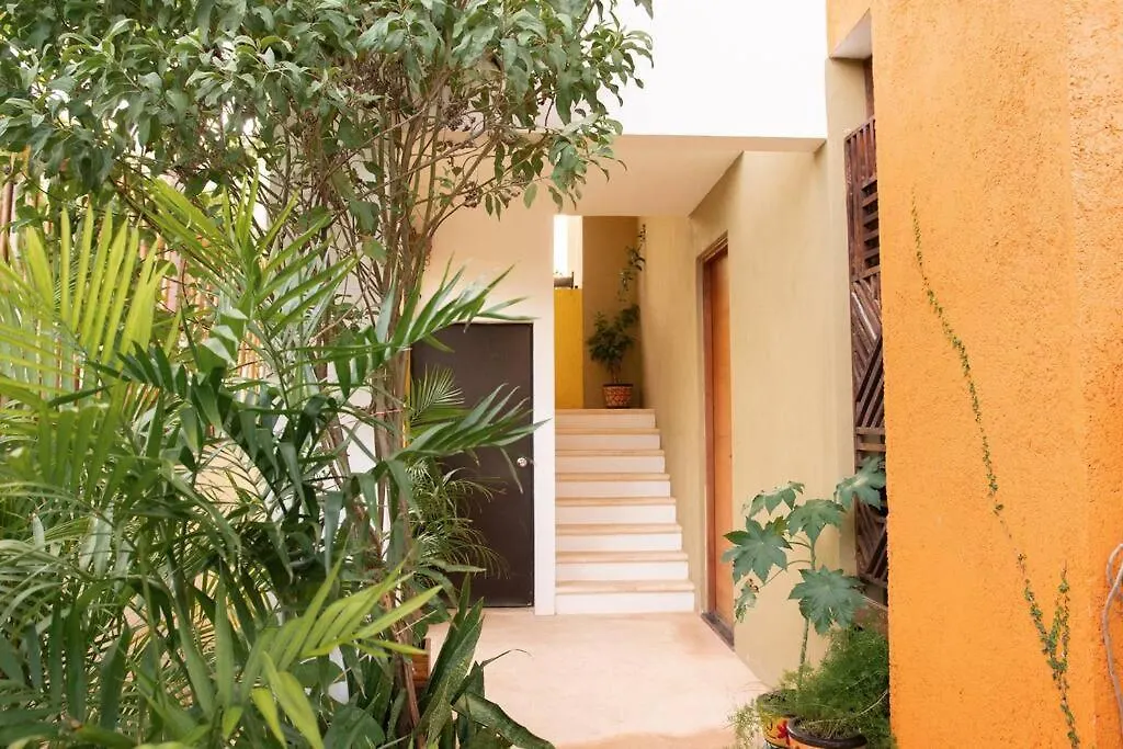 Shiny Casa Cacao/100Mbpswifi Apartment Tulum
