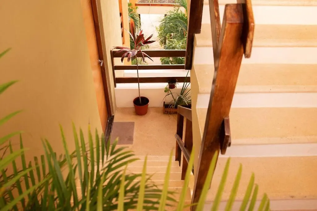 Shiny Casa Cacao/100Mbpswifi Apartment Tulum
